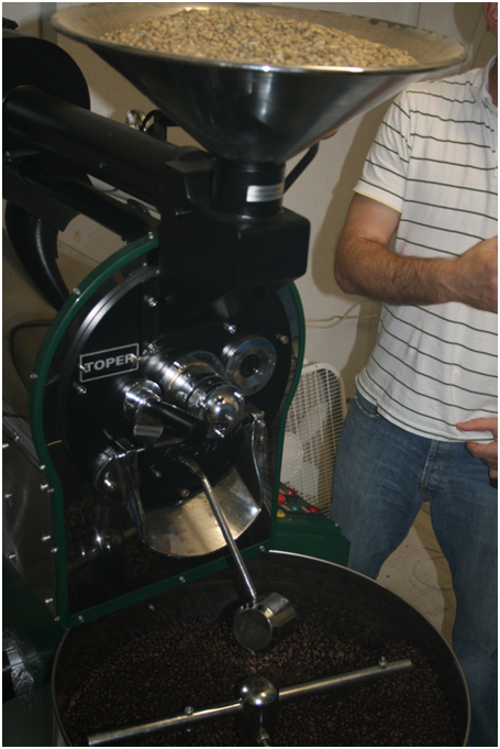 photos of shady backyards